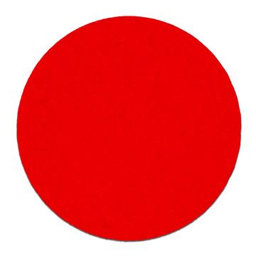 5 in. 100 Grit (Medium) ROS StickFast‚™ Discs (50-Pack) | Diablo Tools | PCS