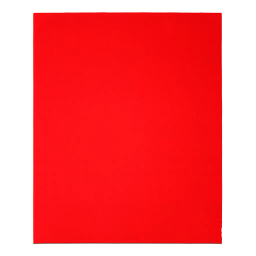9 in. x 11 in. 60-Grit (Coarse) Sanding Sheet (20-Pack) | Diablo Tools | PCS