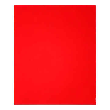 9 in. x 11 in. 80-Grit (Coarse) Sanding Sheet (4-Pack) | Diablo Tools | PCS