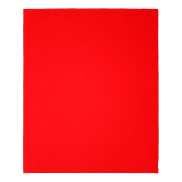 9 in. x 11 in. 100-Grit (Medium) Sanding Sheet (4-Pack) | Diablo Tools | PCS